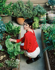 BUTTON CARDI | piquillo | organic
