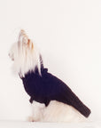 DOG SWEATER | noir | WAREHOUSE SALE