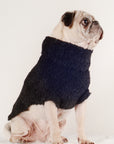 DOG SWEATER | noir | WAREHOUSE SALE