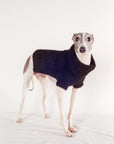 DOG SWEATER | noir | WAREHOUSE SALE