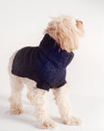DOG SWEATER | noir | WAREHOUSE SALE