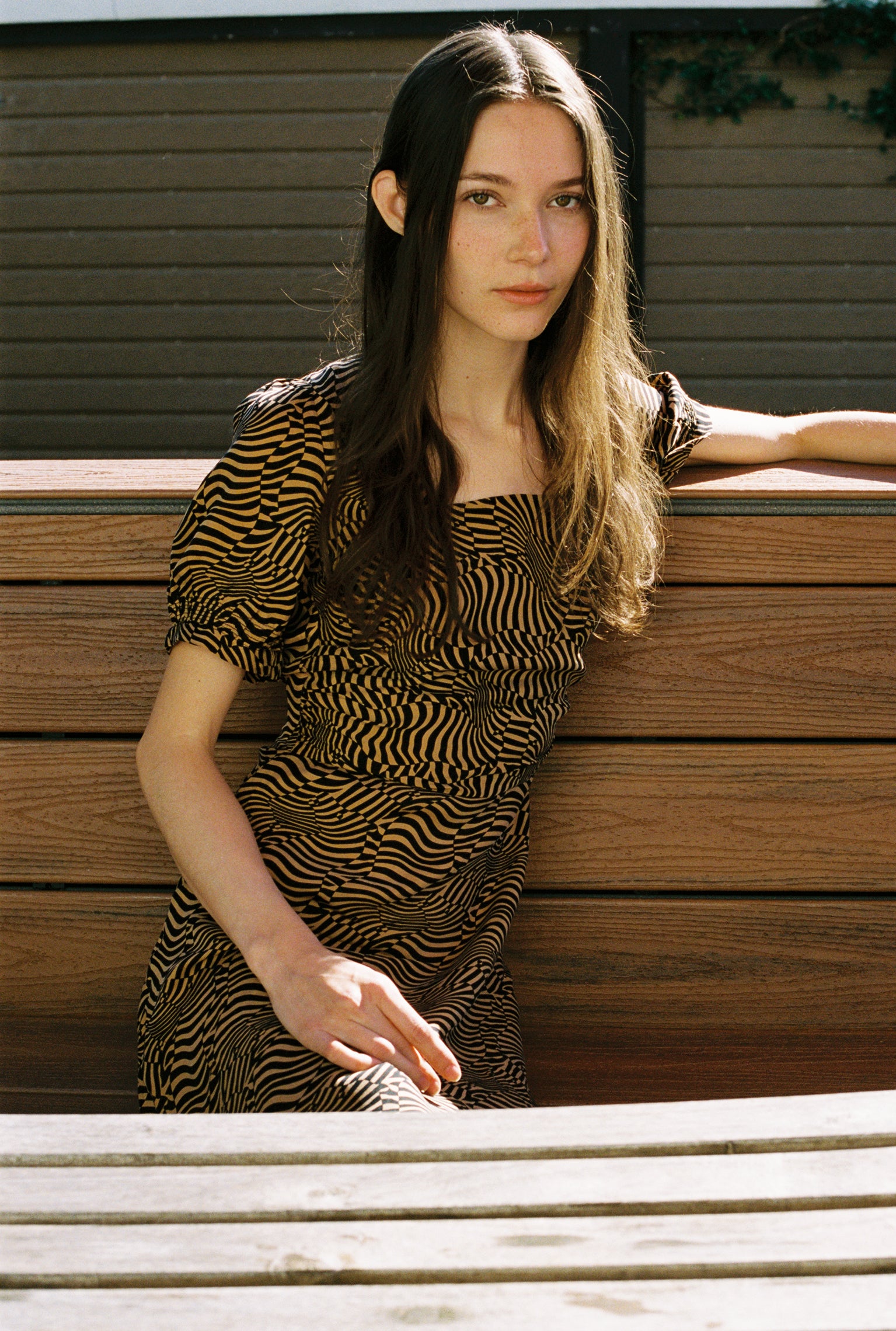 HENSLIN DRESS | animal