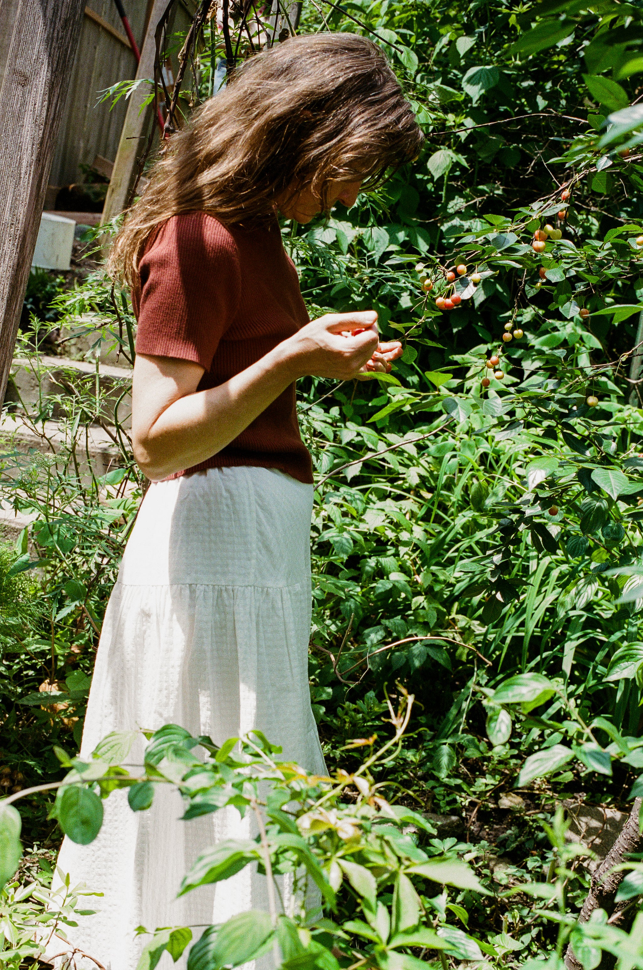 JONES RIBBED TEE | cacao | organic