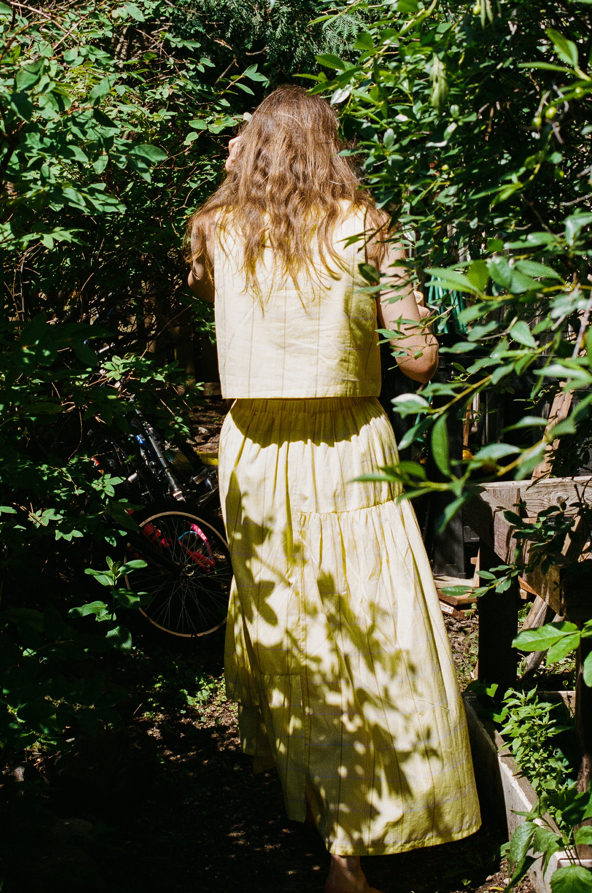 TAHINI TOP | citron plaid | organic