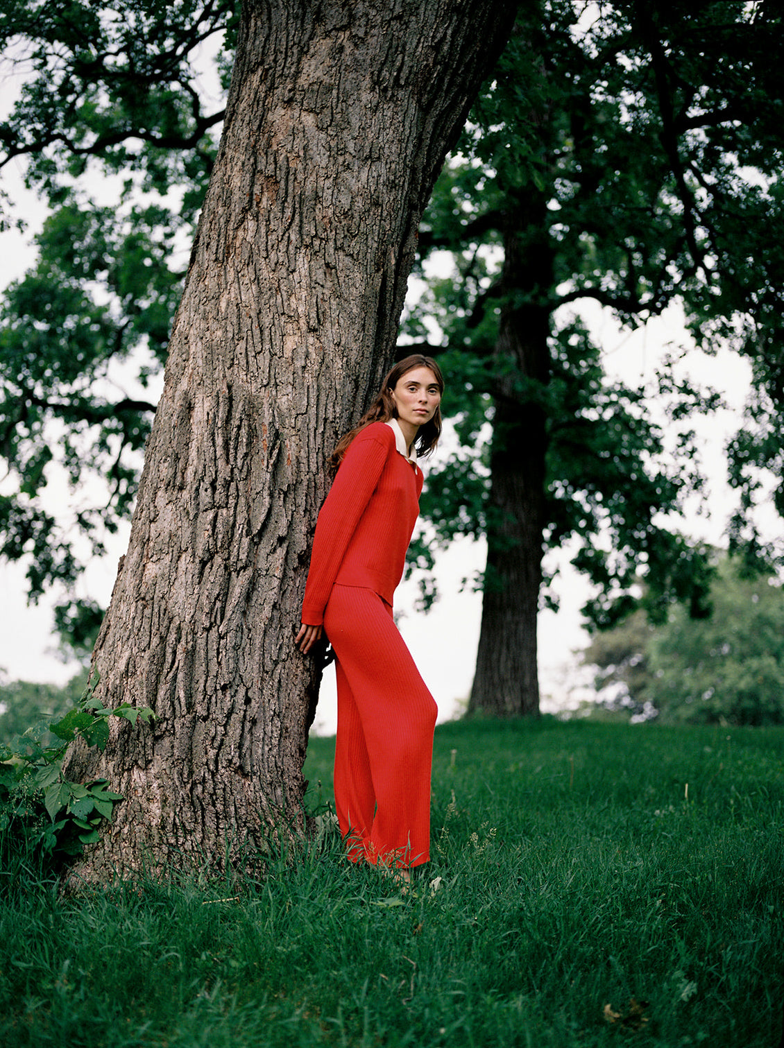 RIBBED GALLO PANT | piquillo