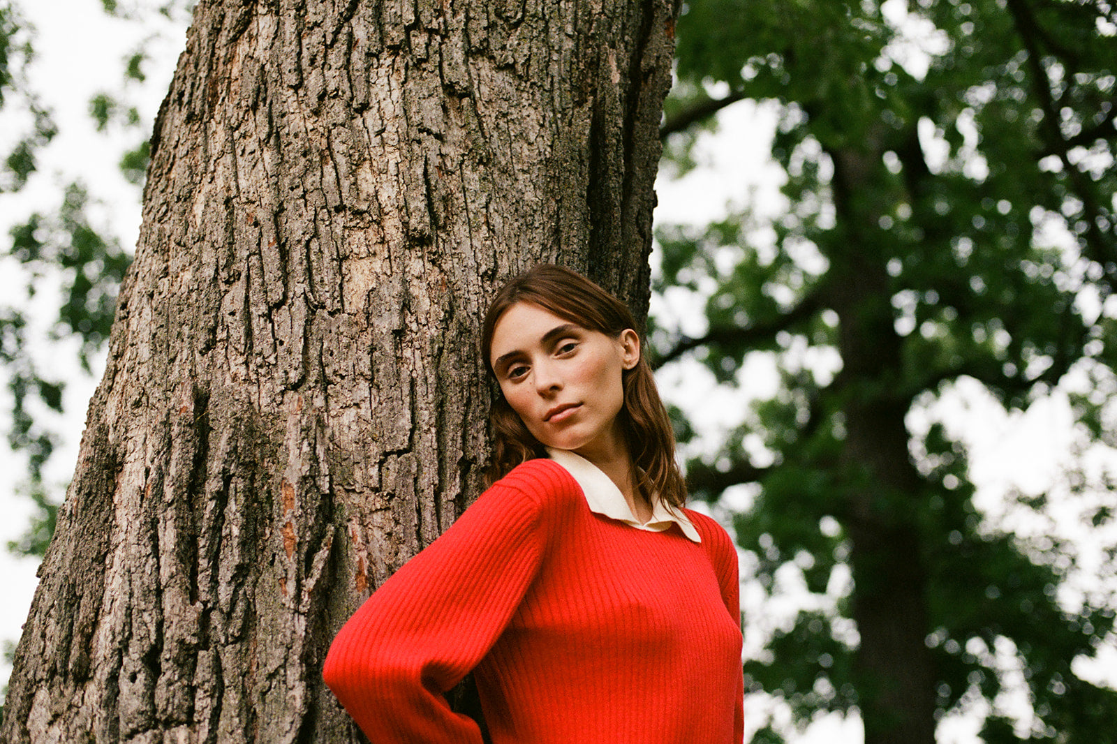 OFELIA KNIT TOP | piquillo + ecru collar