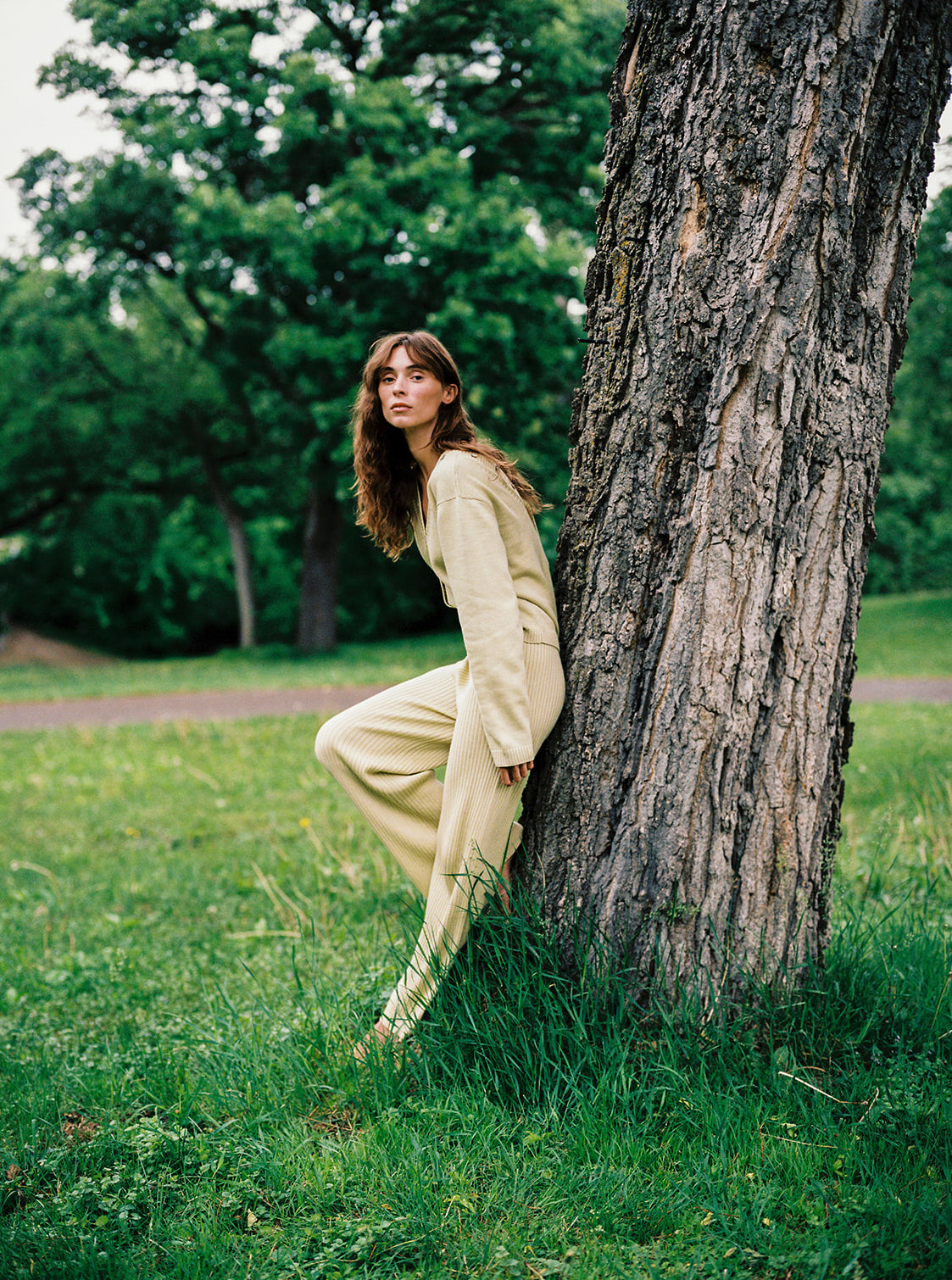 RIBBED GALLO PANT | pear