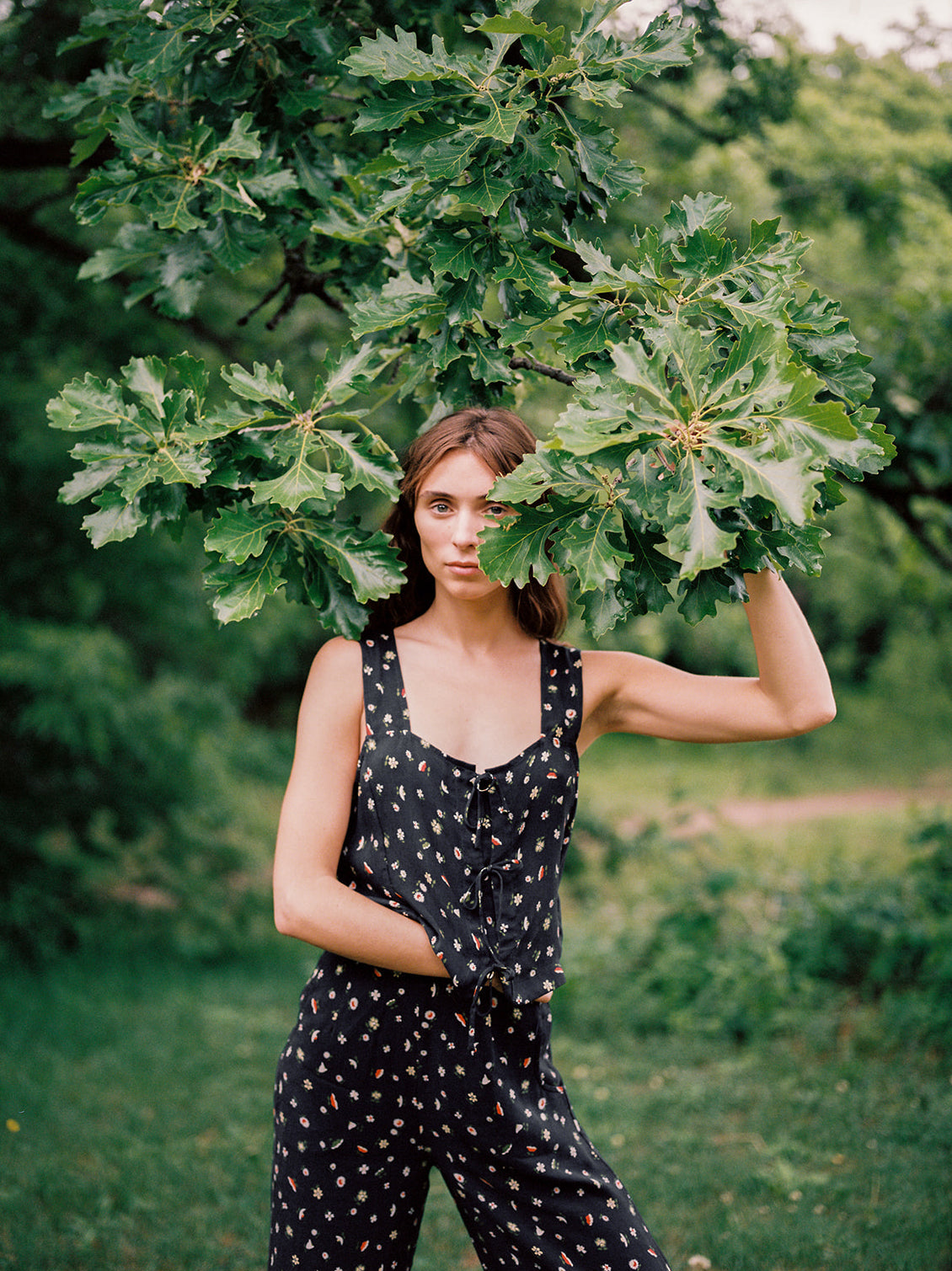 HOSTA TOP | botanical