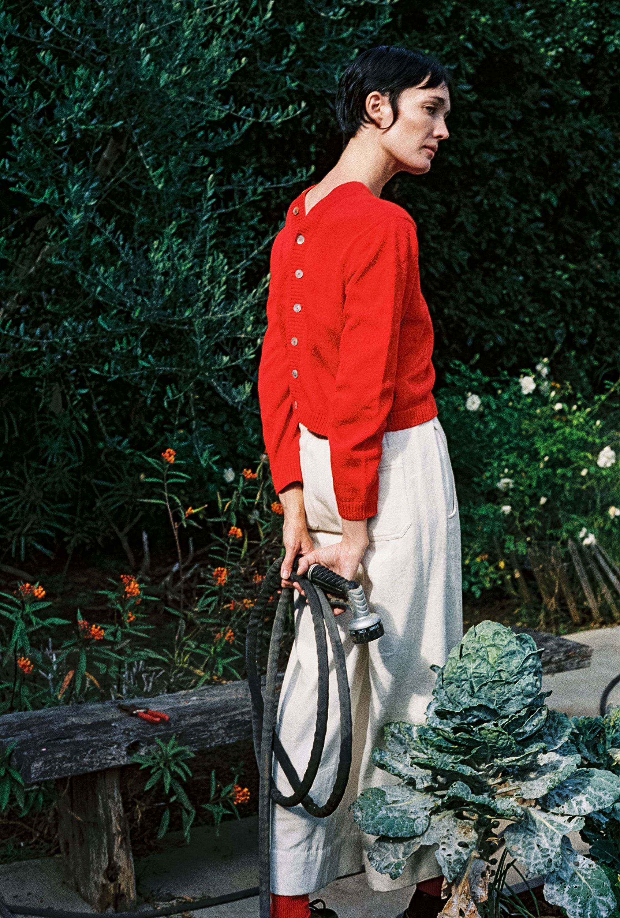BUTTON CARDI | piquillo | organic