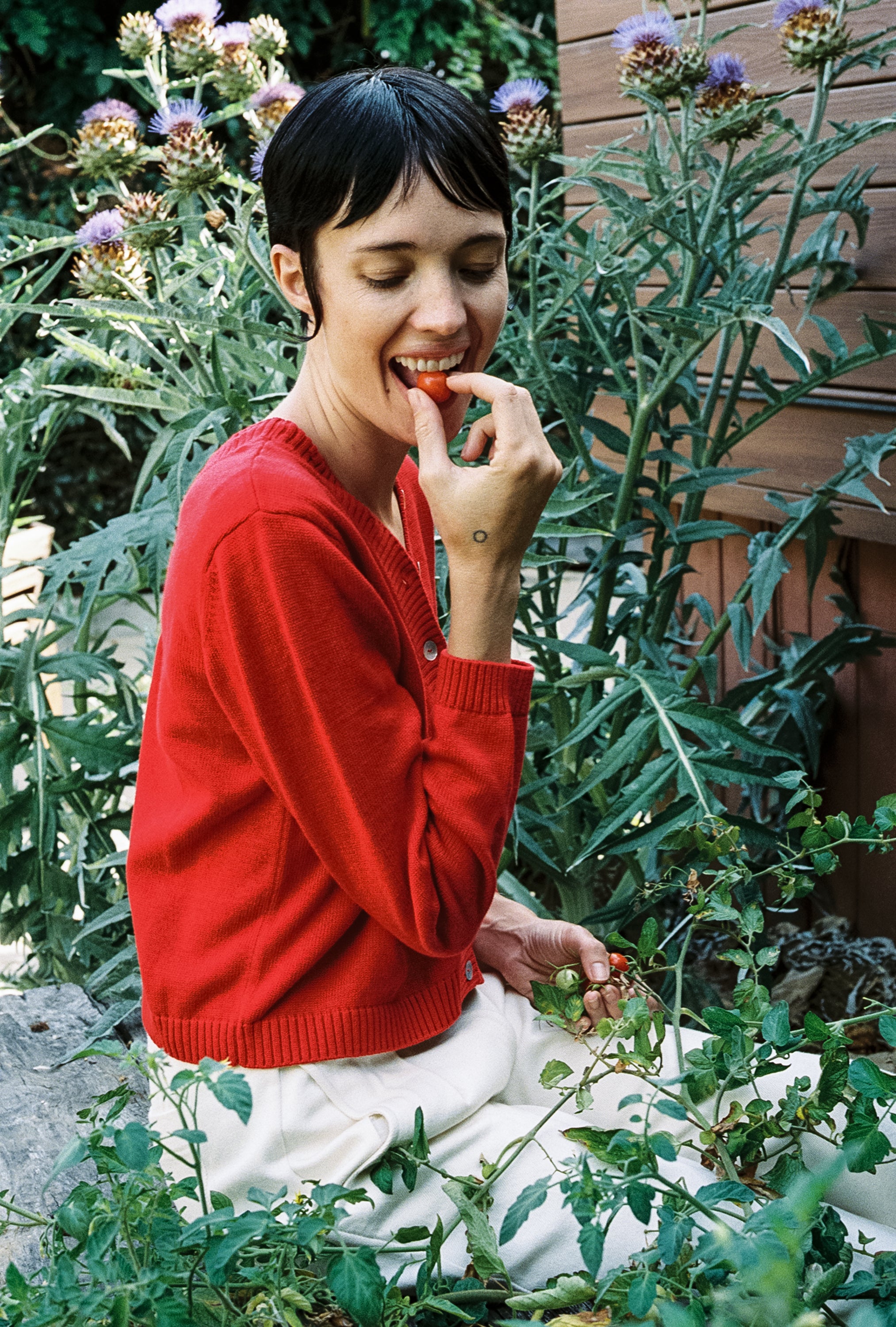 BUTTON CARDI | piquillo | organic