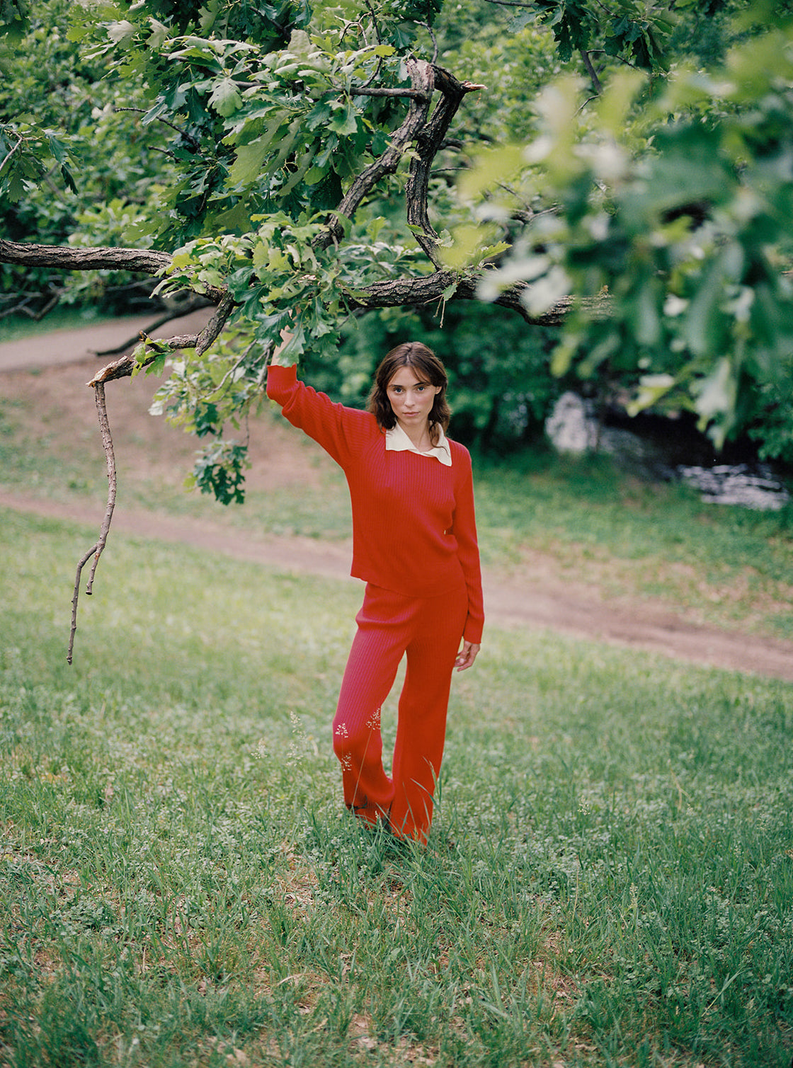 Collection Image