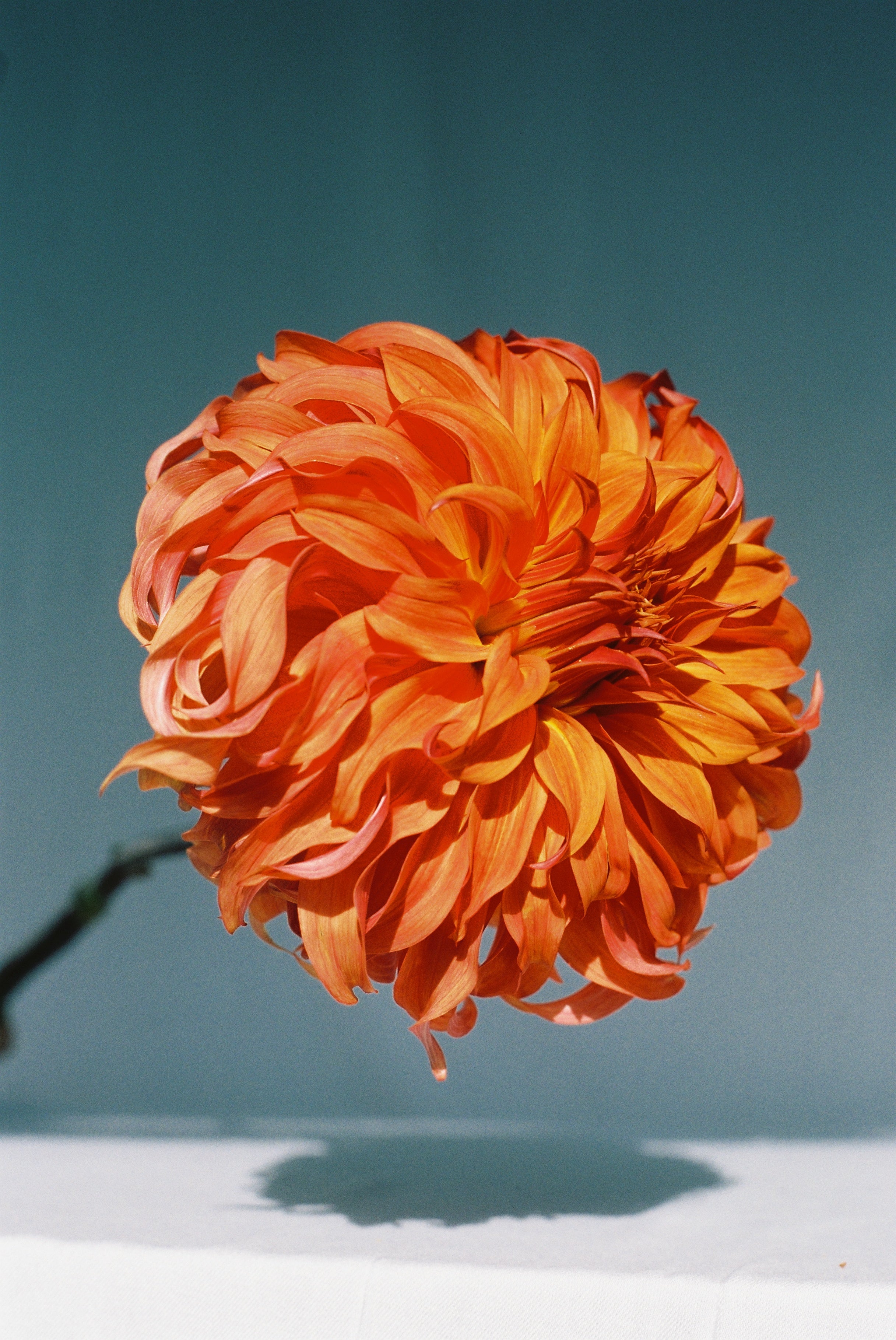 Maria Stanley x Michael J Spear