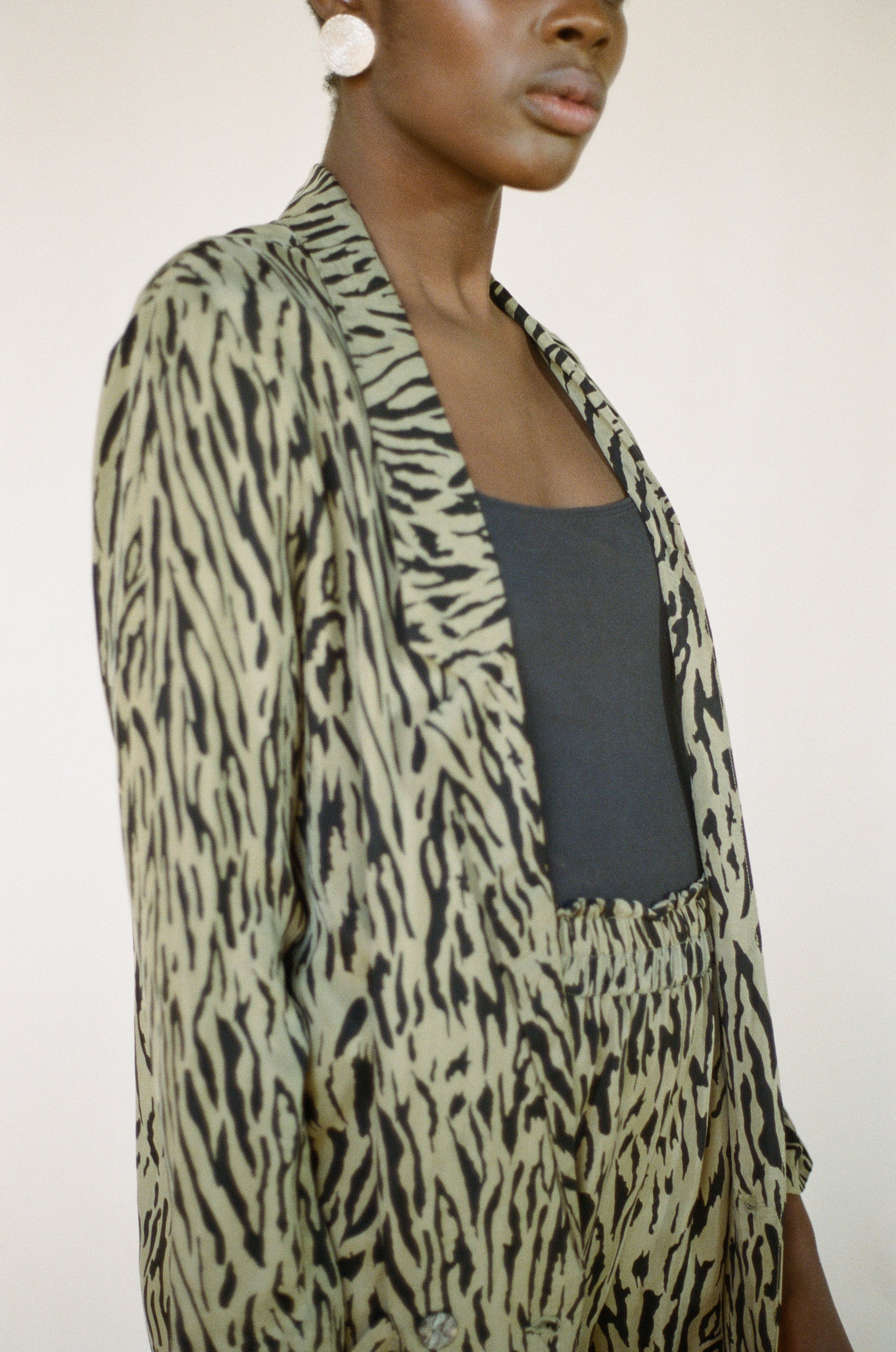 JAMES BLAZER | tigre