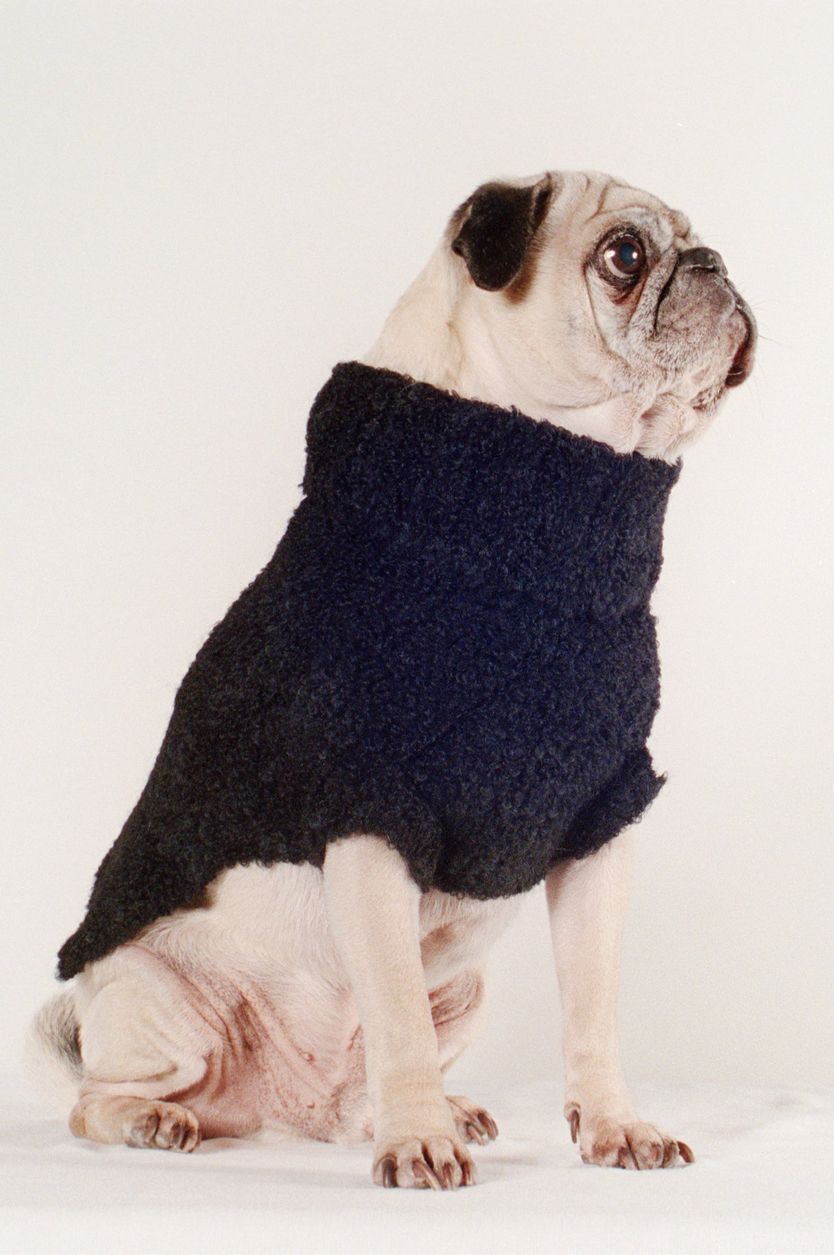 DOG SWEATER | noir